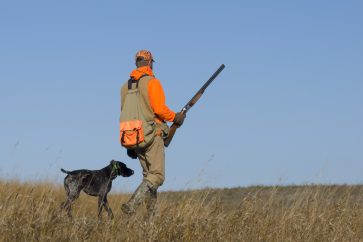 Hunting with dog