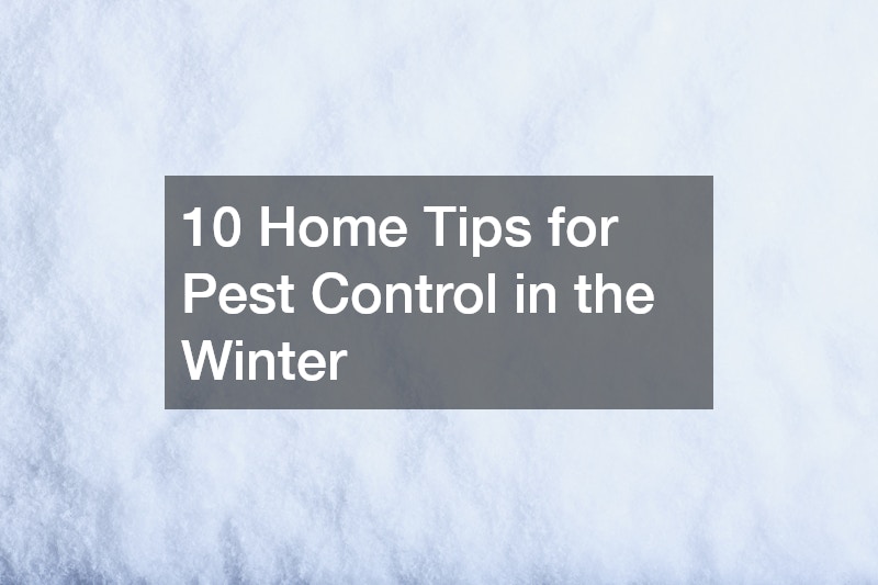 10 Home Tips for Pest Control in the Winter